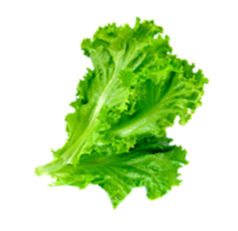 Image Not Found
